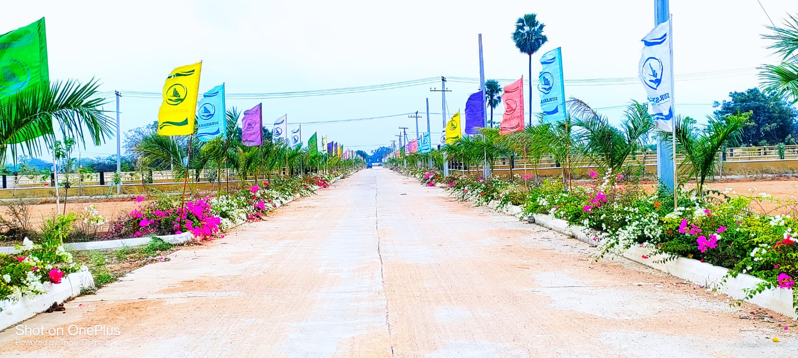 WhatsApp Image 2024-09-16 at 6.24.08 PM (1)